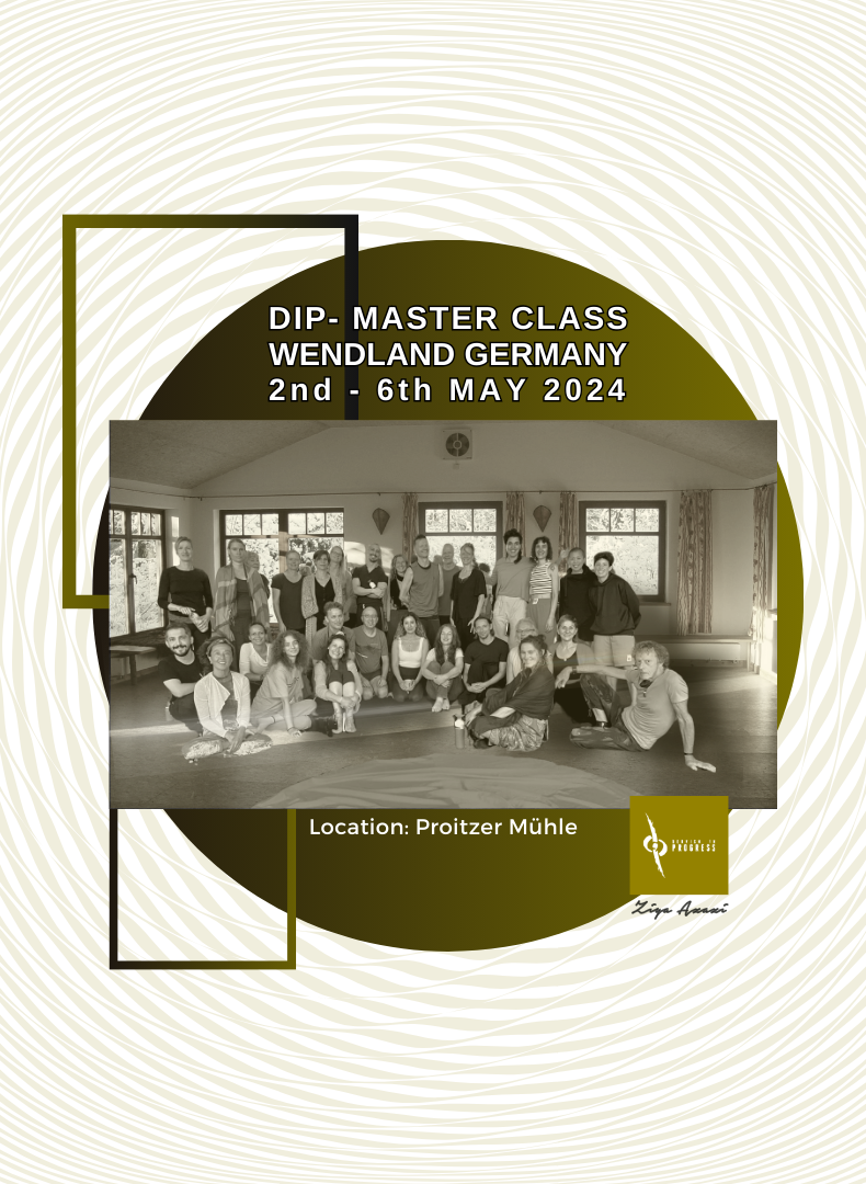 DIP Master Class in Wendland Germany